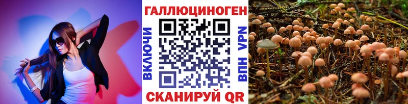 Галлюциногенные грибы Magic Shrooms  Артёмовск 